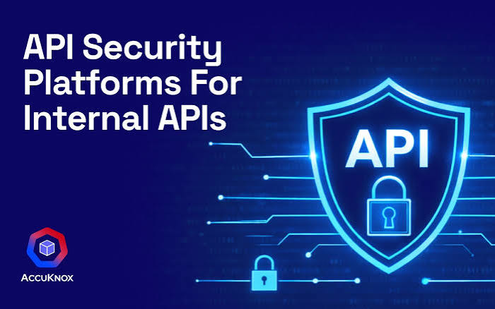 Why Spaceproxy API Access Can Fit Internal QA Pipelines That Need Managed Endpoints